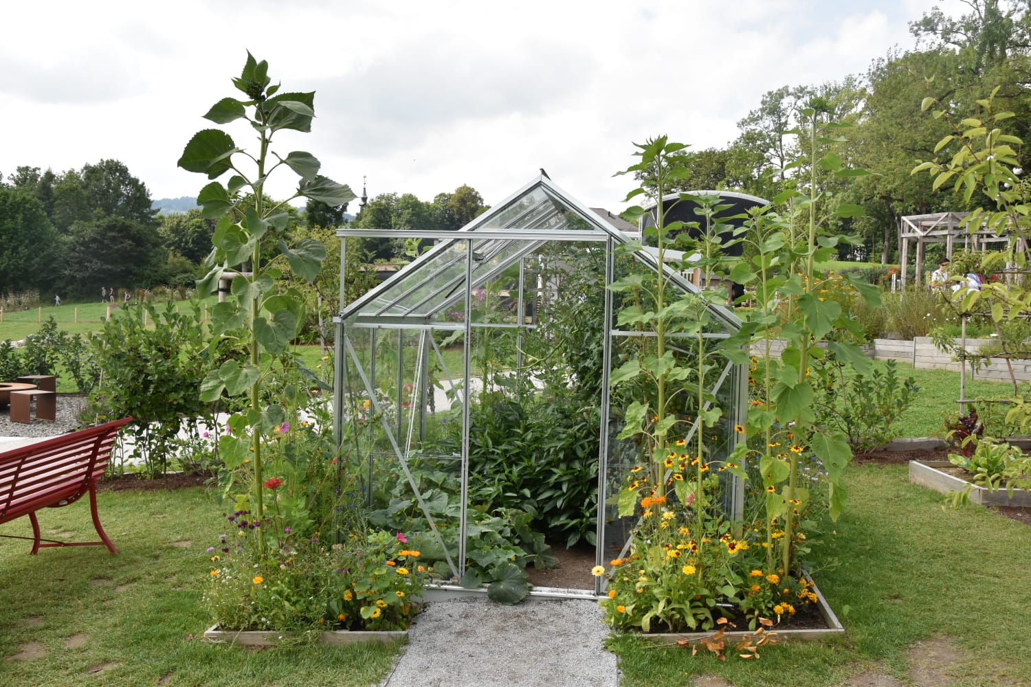 Naturbelassener Garten im grünen